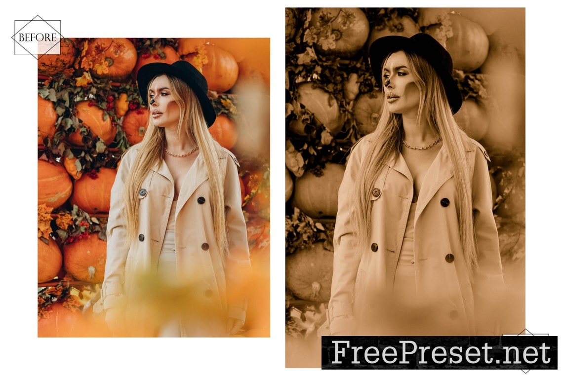 12 Sepia Samhain Lightroom Presets