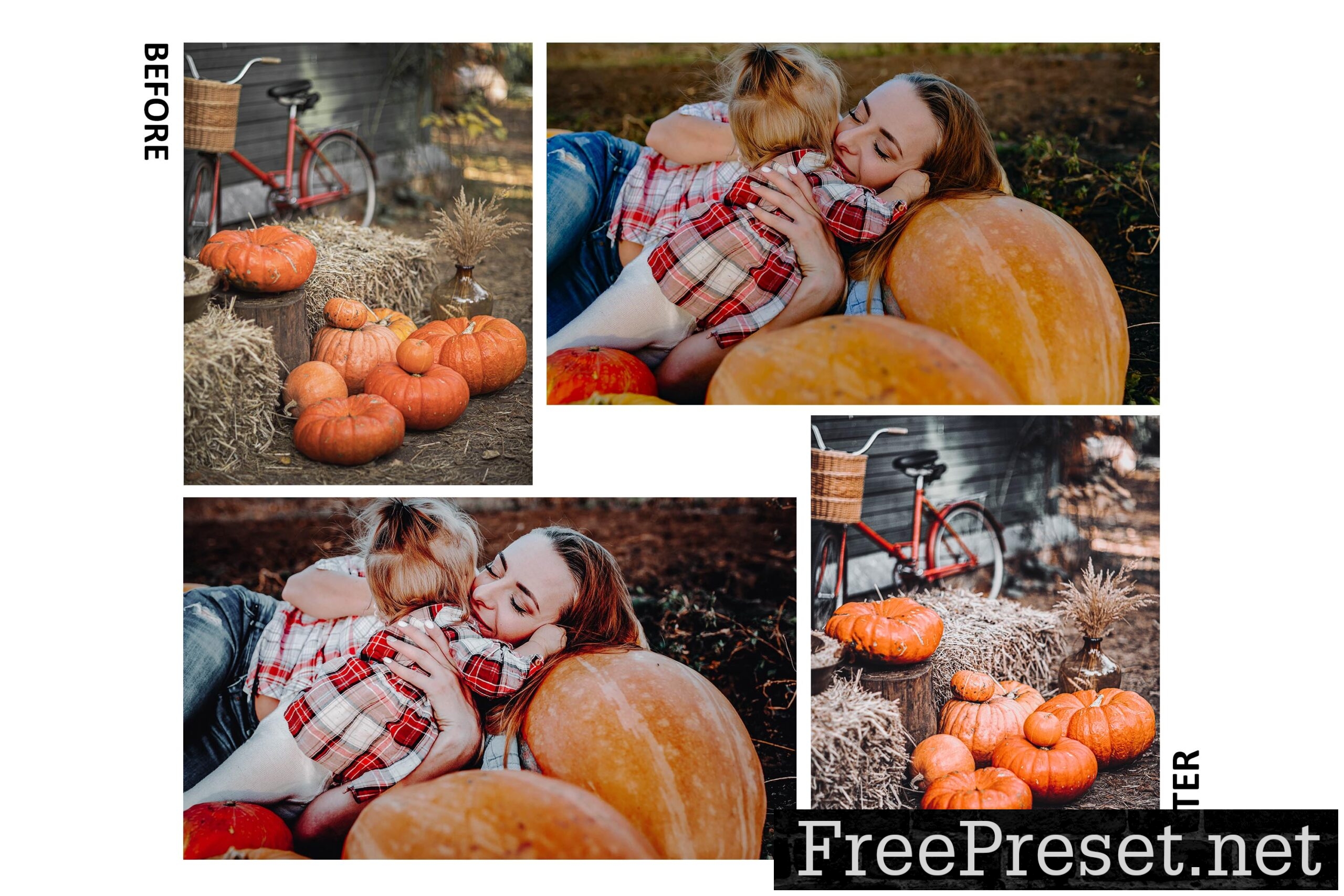12 Thanksgiving Photoshop Actions And ACR Presets, Black Moody