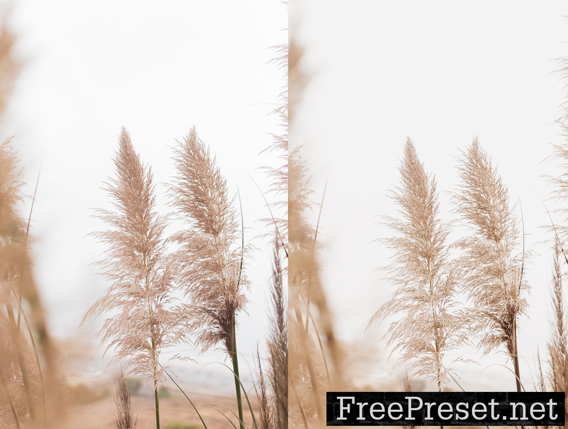 12 x Lightroom Presets, Minimalist Nud3 Presets, Nud3 Presets