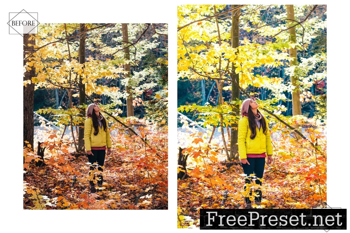 12 Yellow Autumn Lightroom Presets, Bright Preset, Fall Desktop