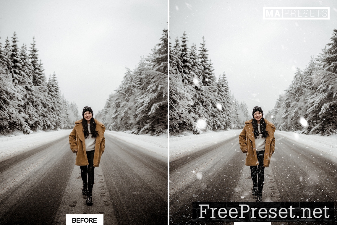 60 FALLING SNOW OVERLAYS FREE DOWNLOAD