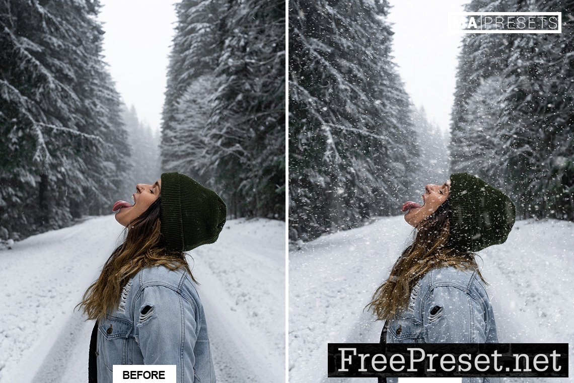 60 FALLING SNOW OVERLAYS FREE DOWNLOAD