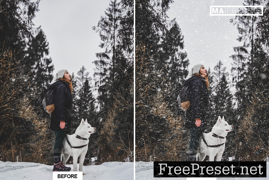 60 FALLING SNOW OVERLAYS FREE DOWNLOAD