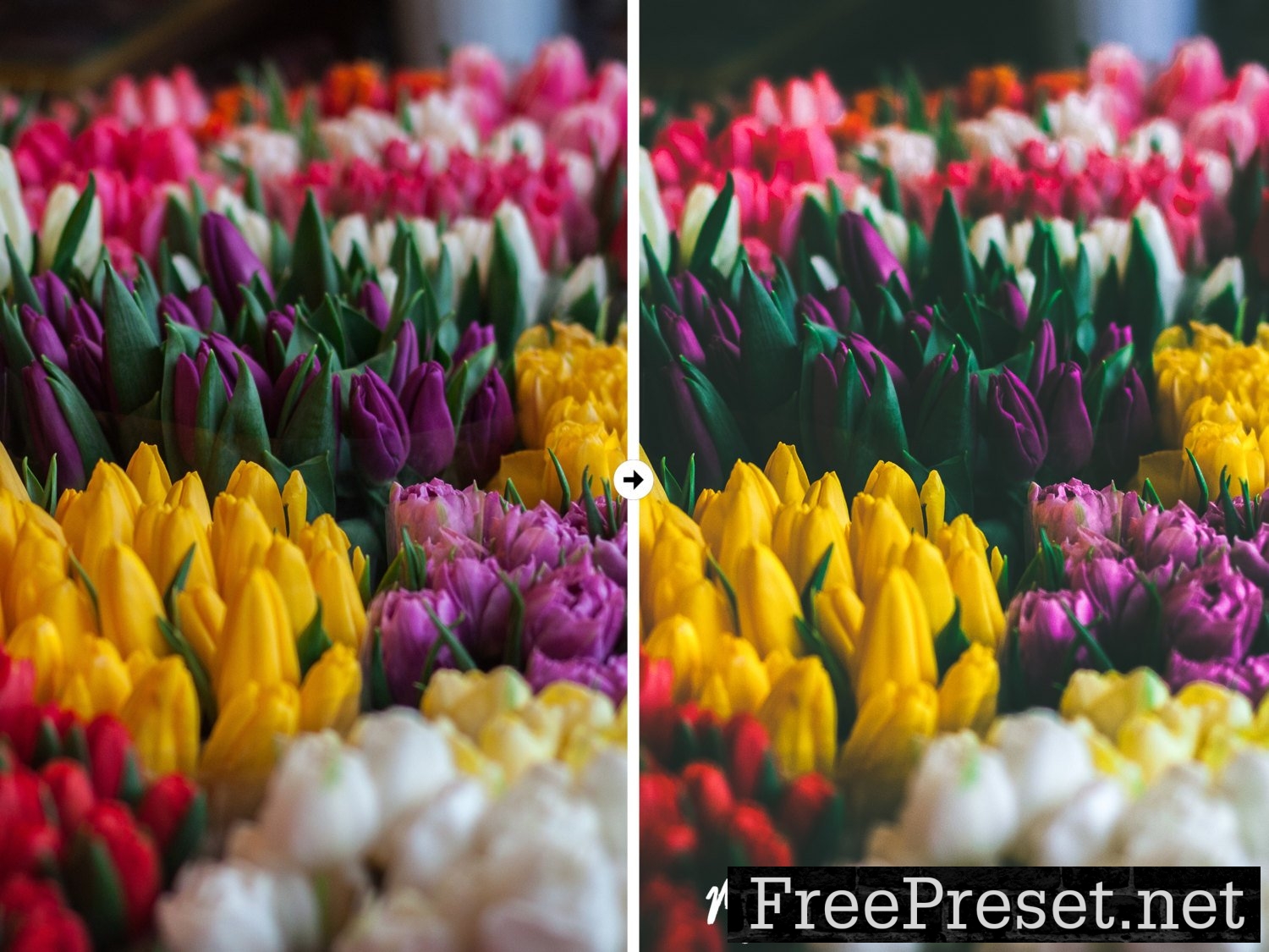 9 Nature Lightroom Presets 1136481