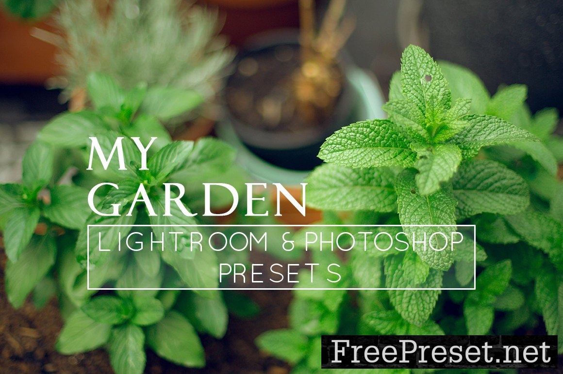 9 Nature Lightroom Presets 1136481