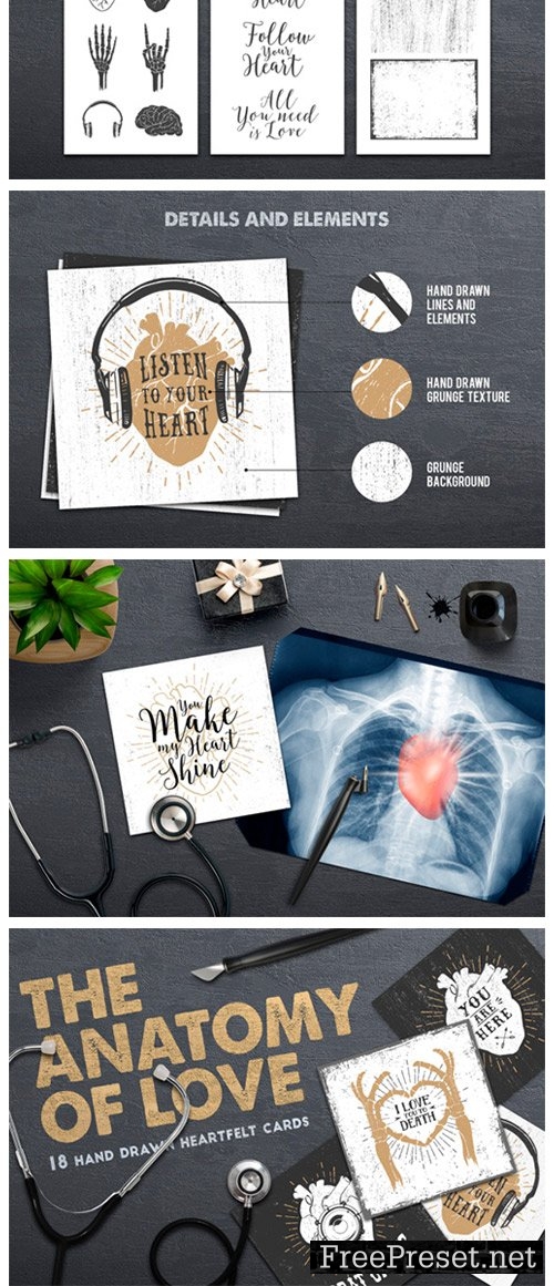 Anatomy of Love - Collection of Cards 637962