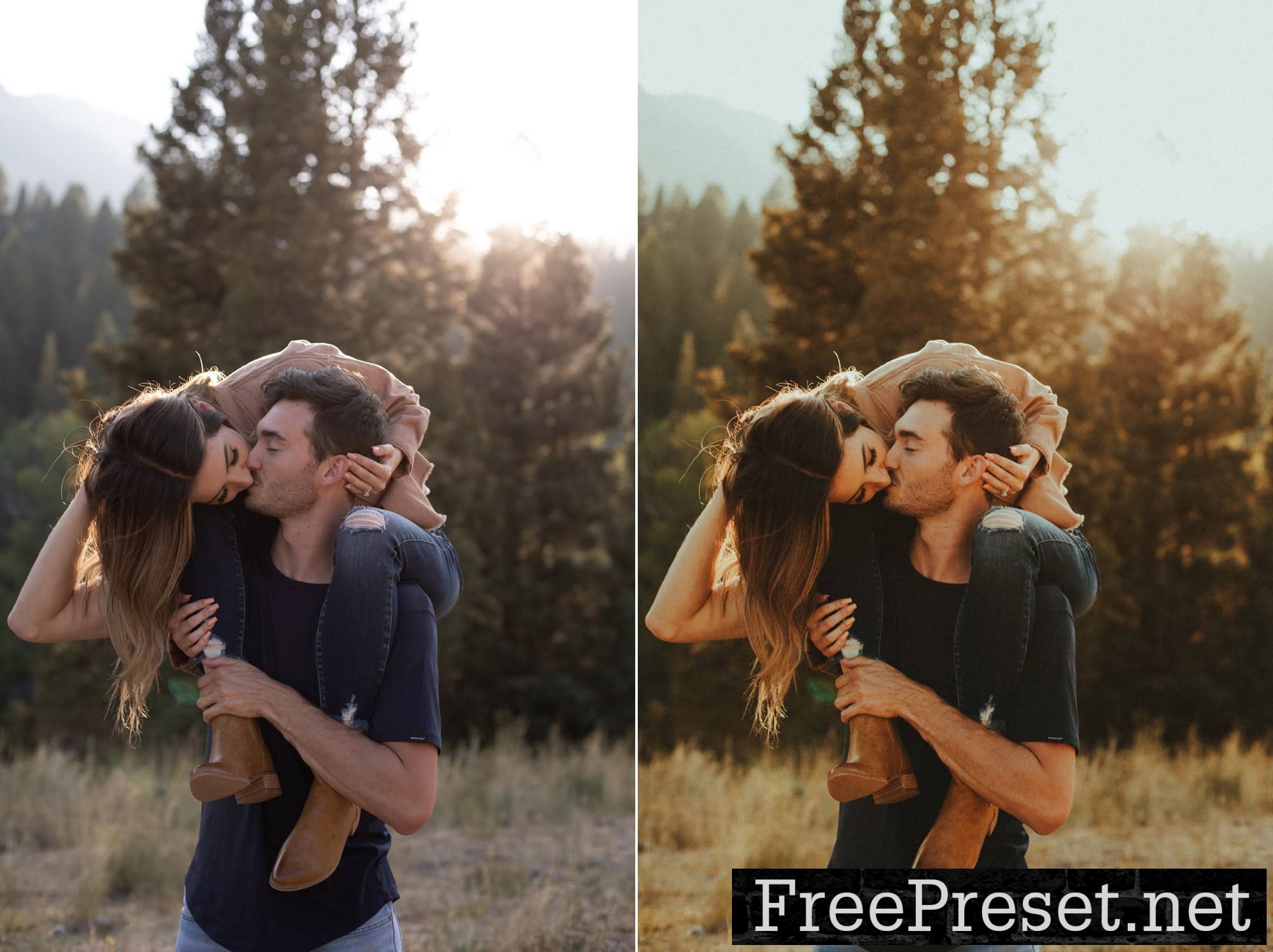 AUTHENTIC LOVE PRESETS PACK 02