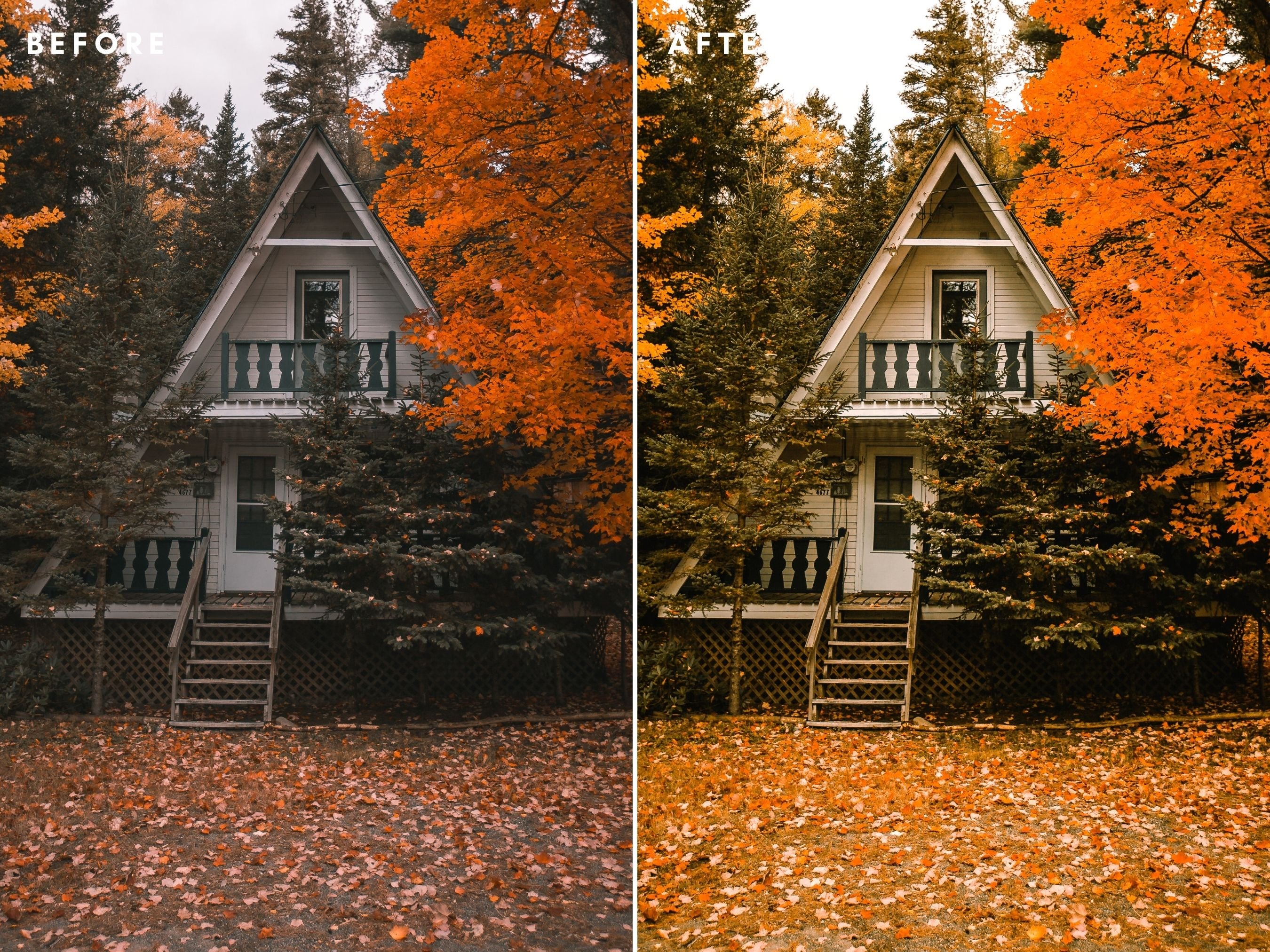 Autumn Lightroom Presets 6457343