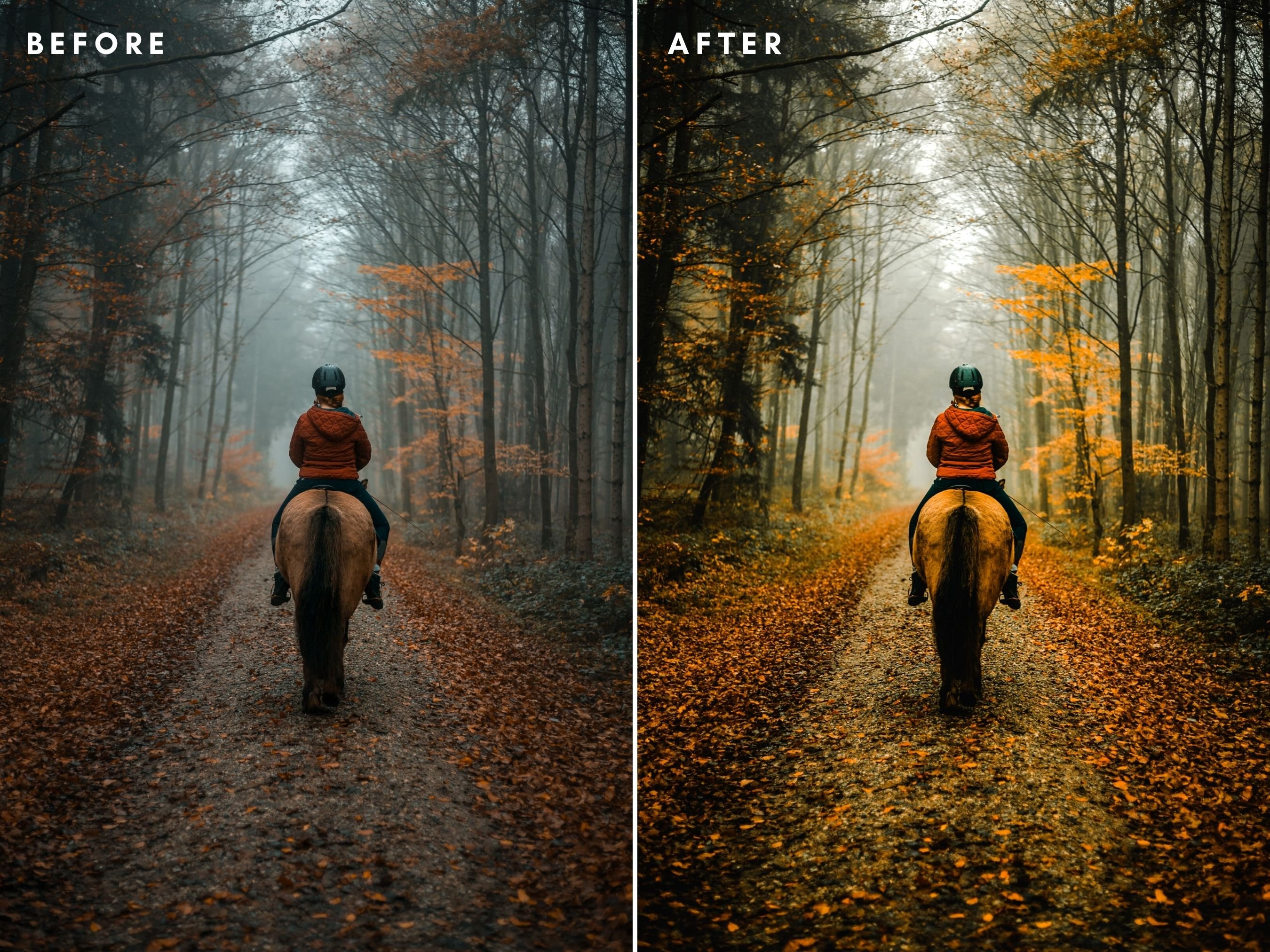 Autumn Lightroom Presets 6457343