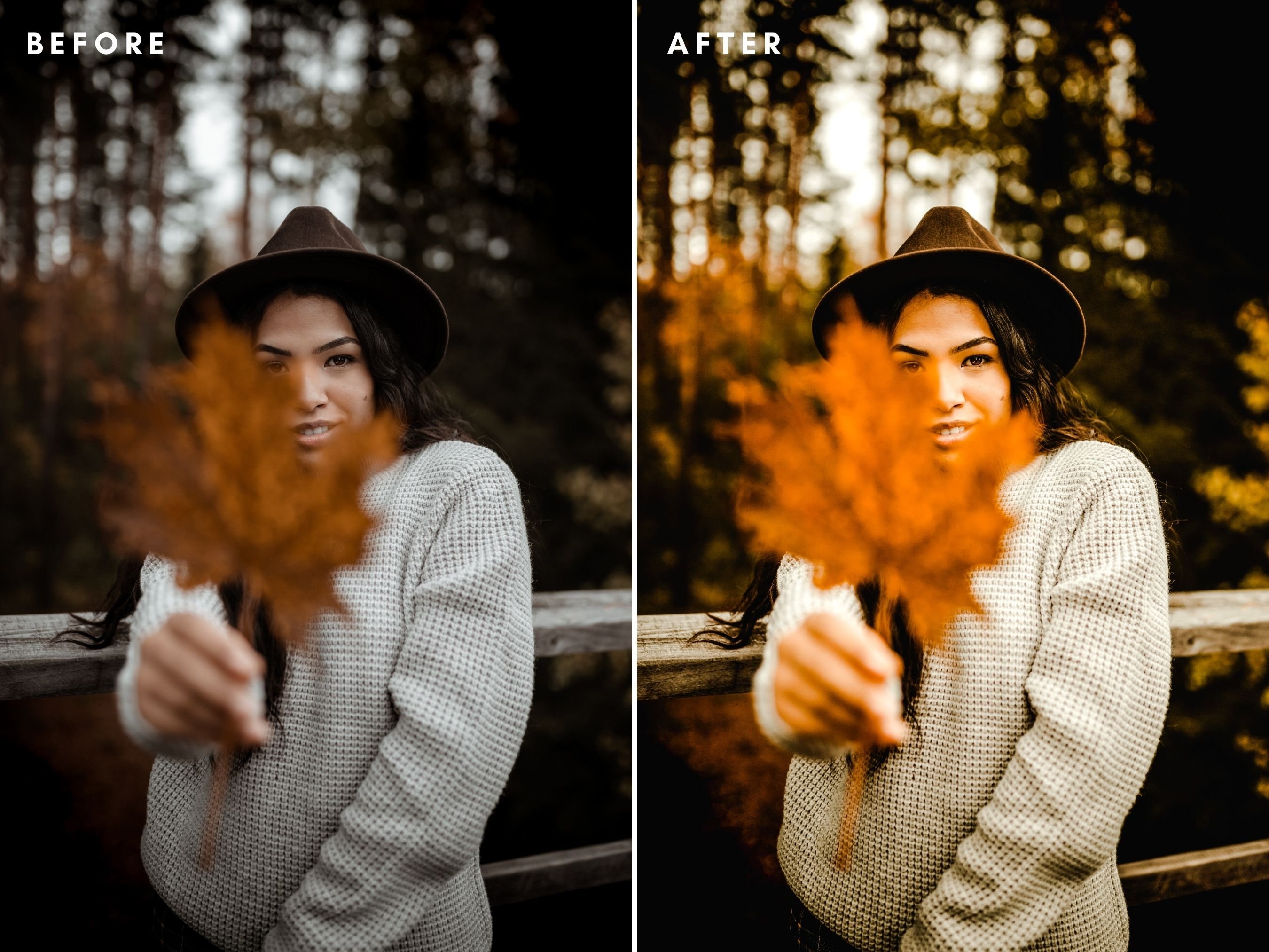 Autumn Lightroom Presets 6457343