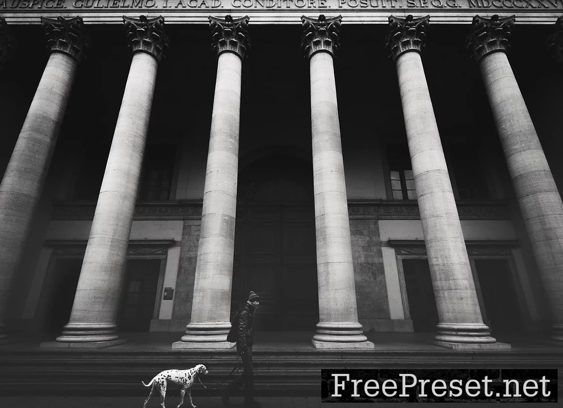 BennyBulke BNW streetpack Presets