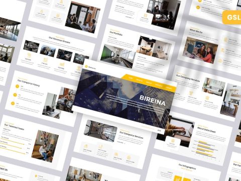 Bireina - Business Google Slides Template VKU66RJ