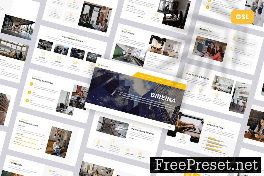 Bireina - Business Google Slides Template VKU66RJ