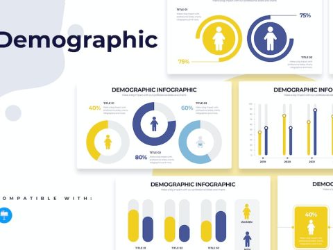 Business Demographics Keynote Infographics