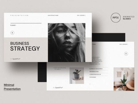 Business Strategy Template W3ZX6SS