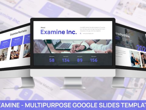 Examine - Multipurpose Google Slide Template CPHQHCC