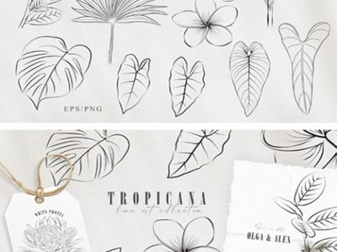 Line Art Tropical Plants Clipart Set 7570346