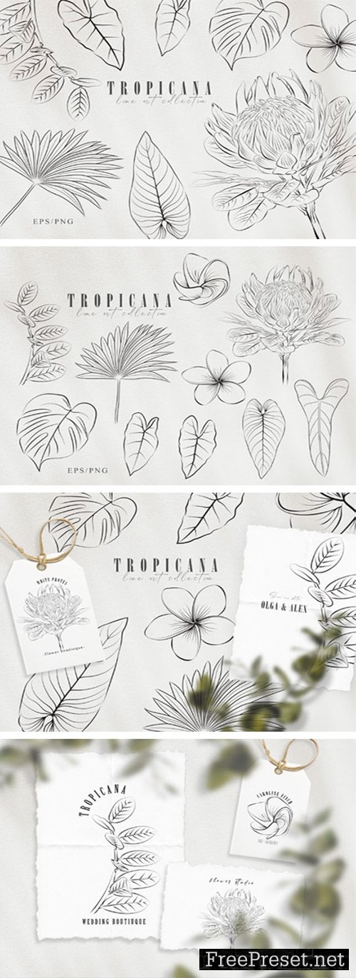 Line Art Tropical Plants Clipart Set 7570346