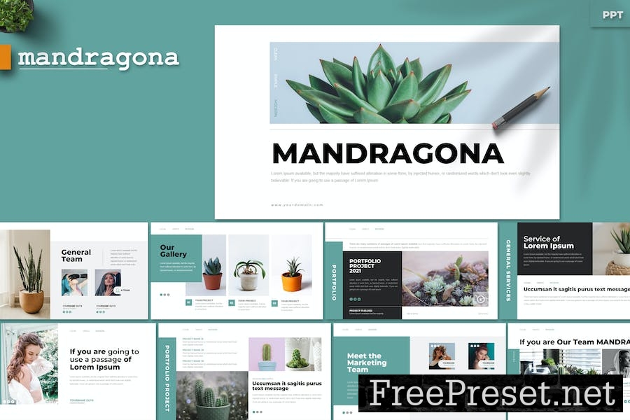 Mandragona - Google Slides PM5PZAR