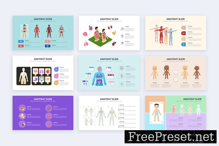 Medical Anatomy Slide Keynote Infographics