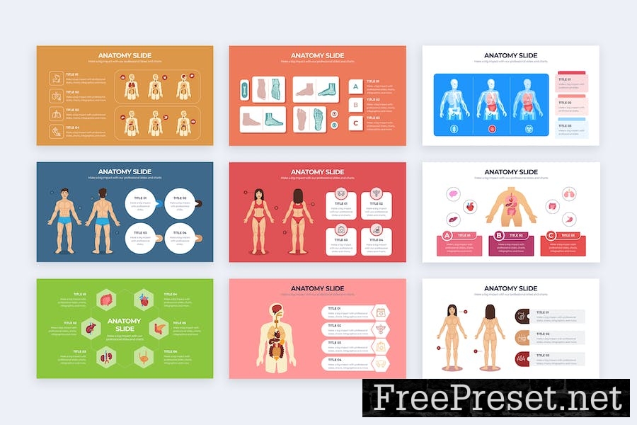 Medical Anatomy Slide Keynote Infographics