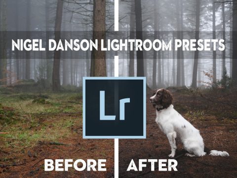 Nigel Danson Lightroom Presets