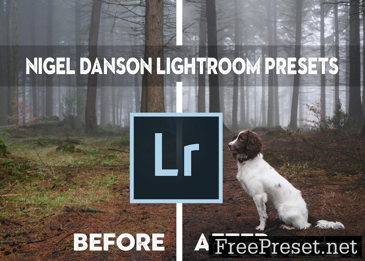 Nigel Danson Lightroom Presets