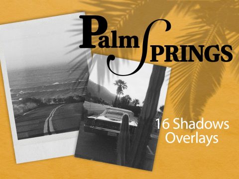 PALM SPRING | SHADOW OVERLAYS 7807140