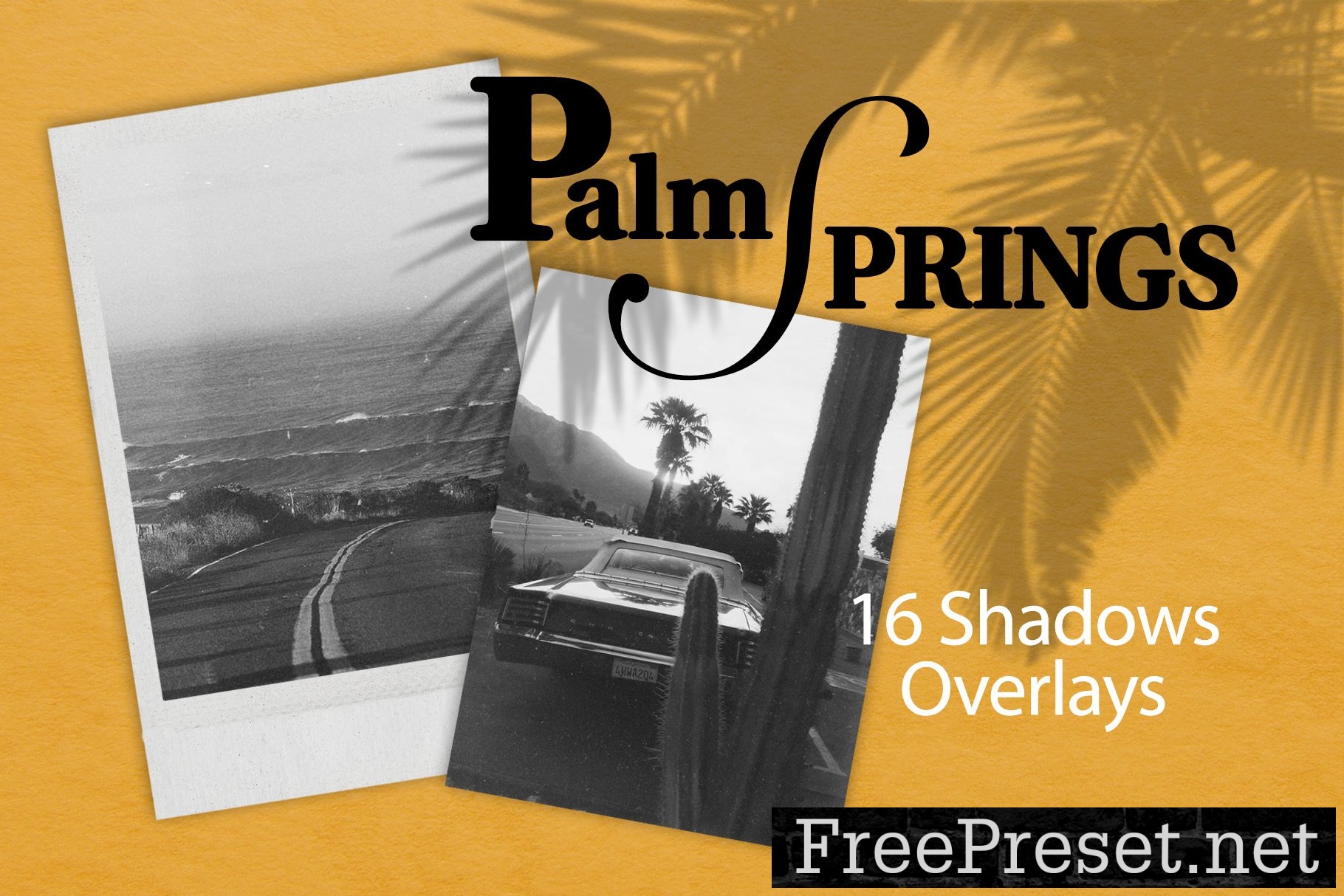 PALM SPRING | SHADOW OVERLAYS 7807140