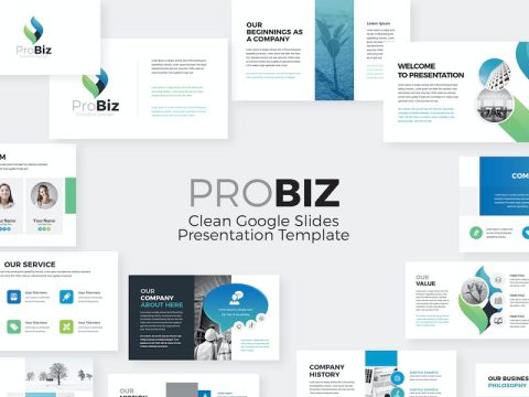 Probiz Business Presentation Google Slides K876PJT