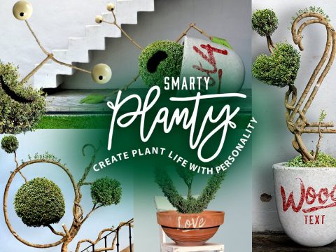 Smarty Planty - Plant life creator