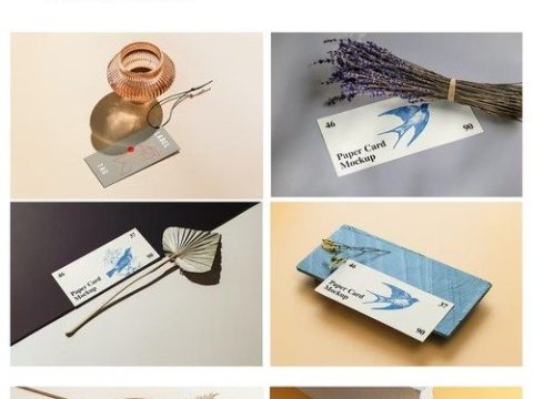 Stationery Business Card Mockups vol.2