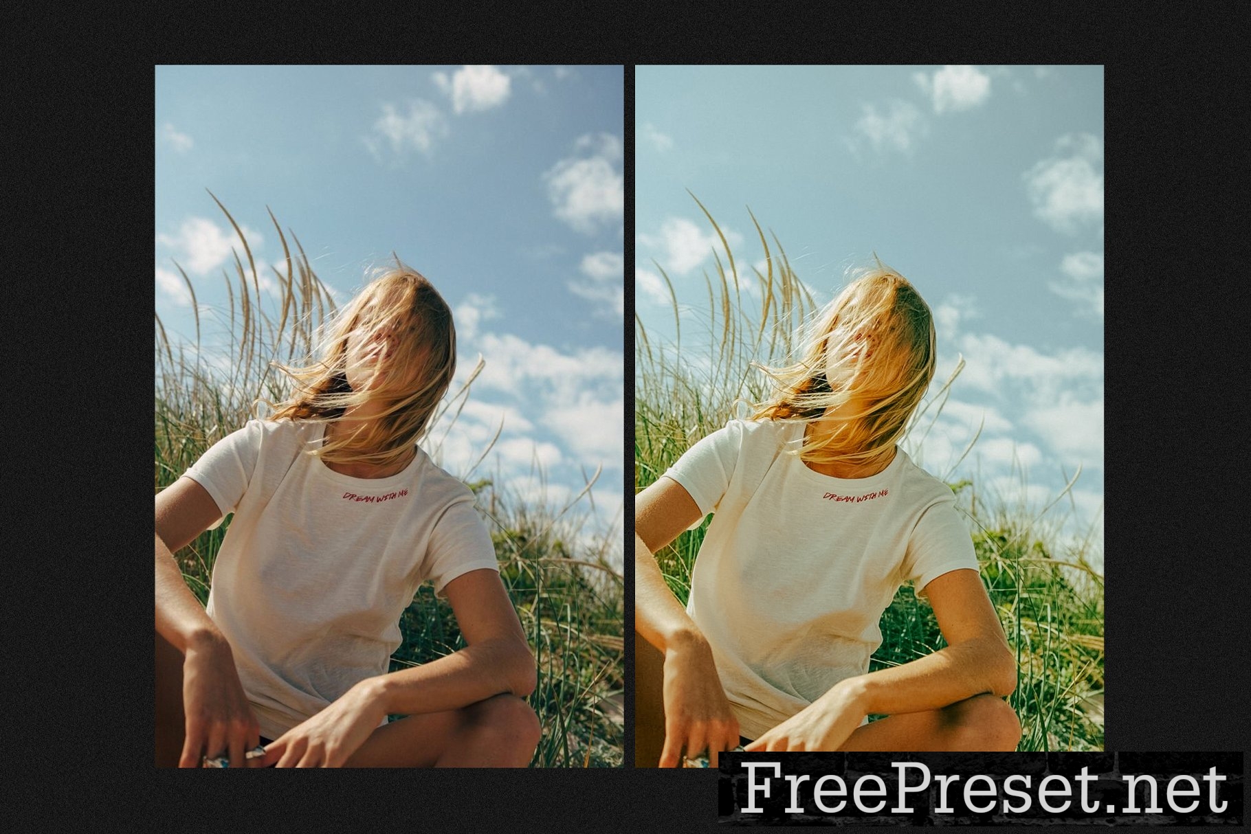 SUMMER 10 LIGTHROOM PRESETS 7168735