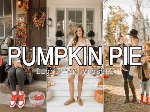 5 Pumpkin Pie Lightroom Presets 10286441