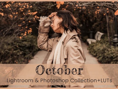 8 October Lightroom Presets 10268702