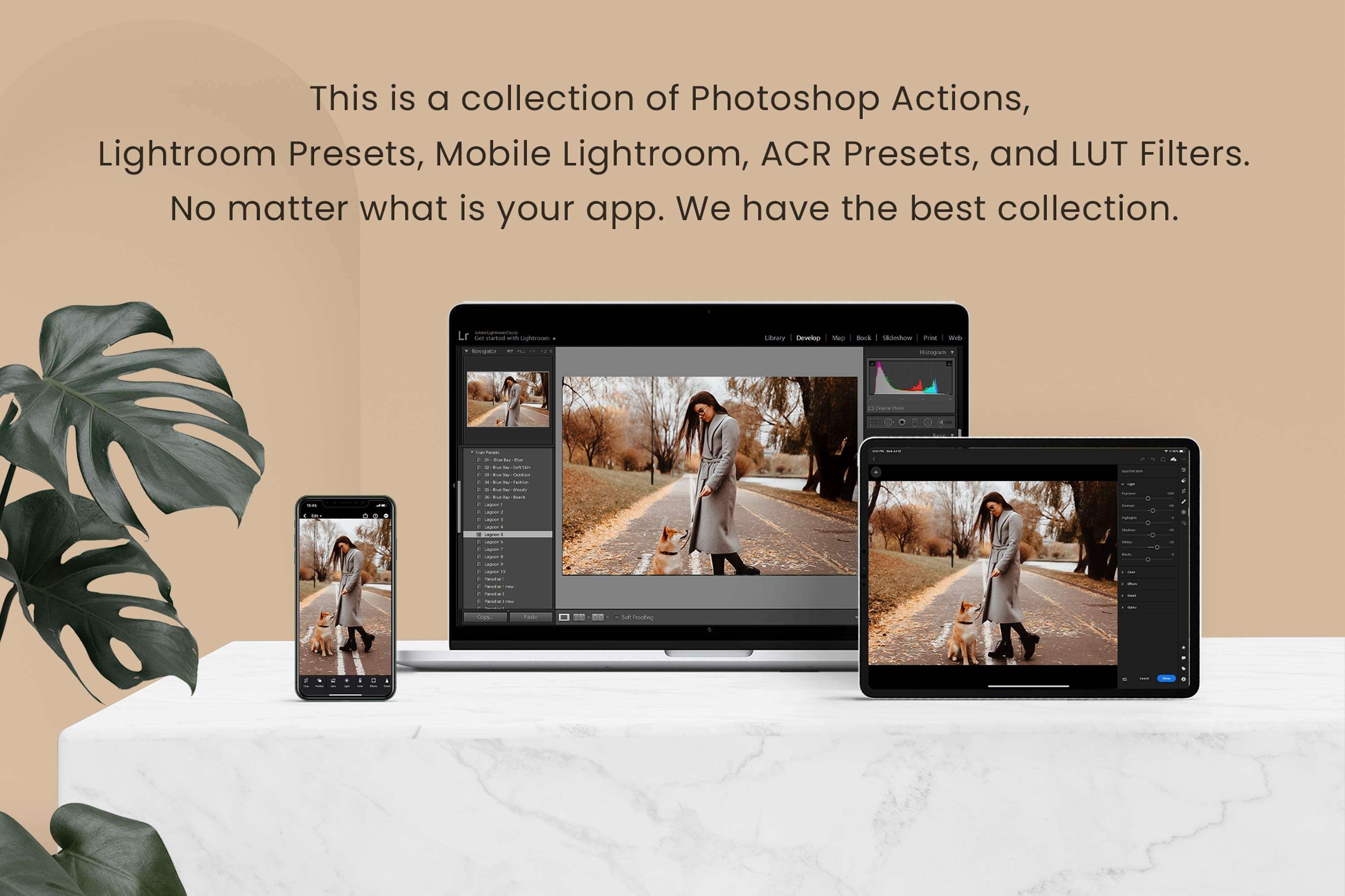 9 Fall Holidays Lightroom Presets 10275393