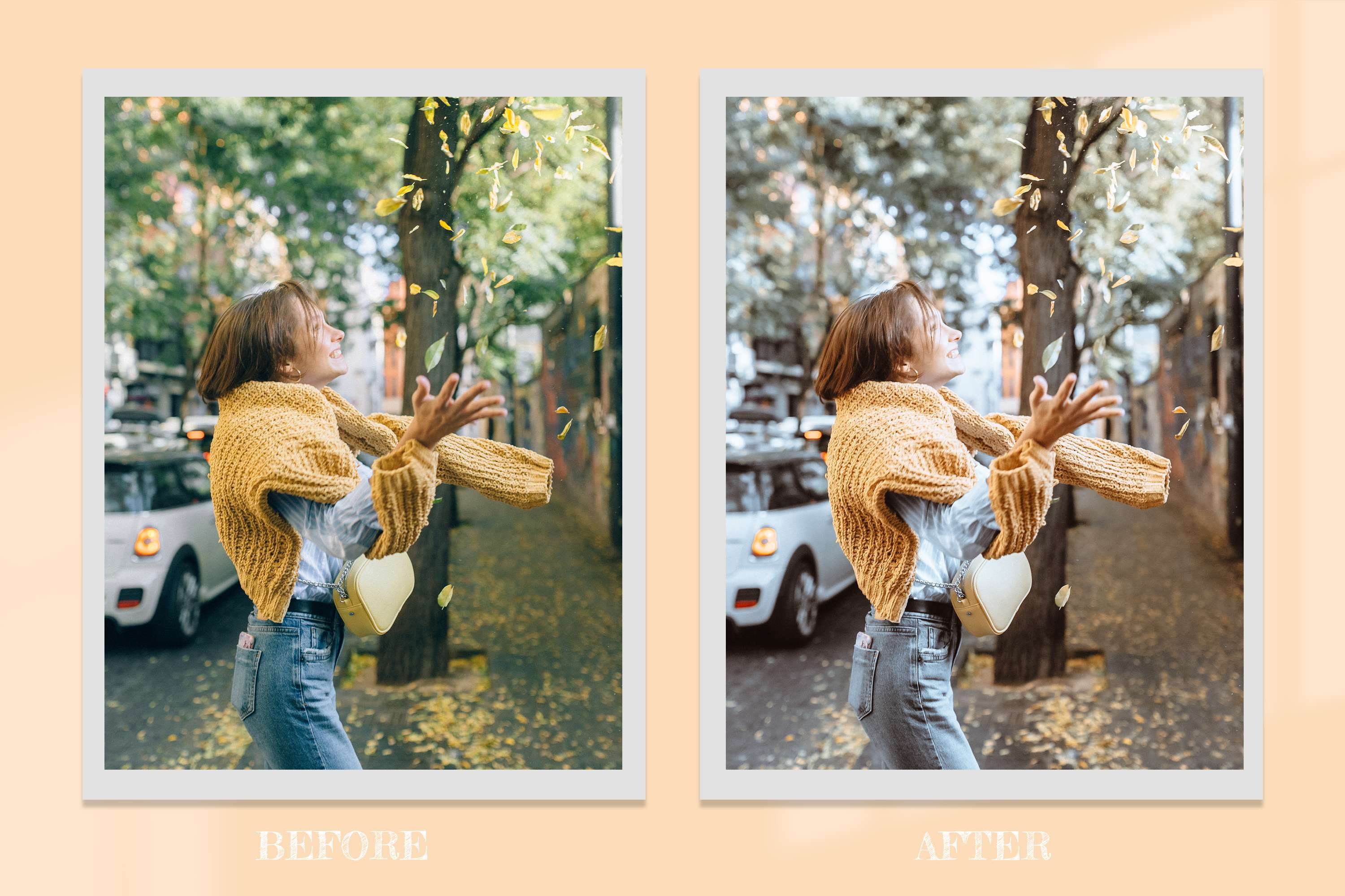 9 Fall Holidays Lightroom Presets 10275393