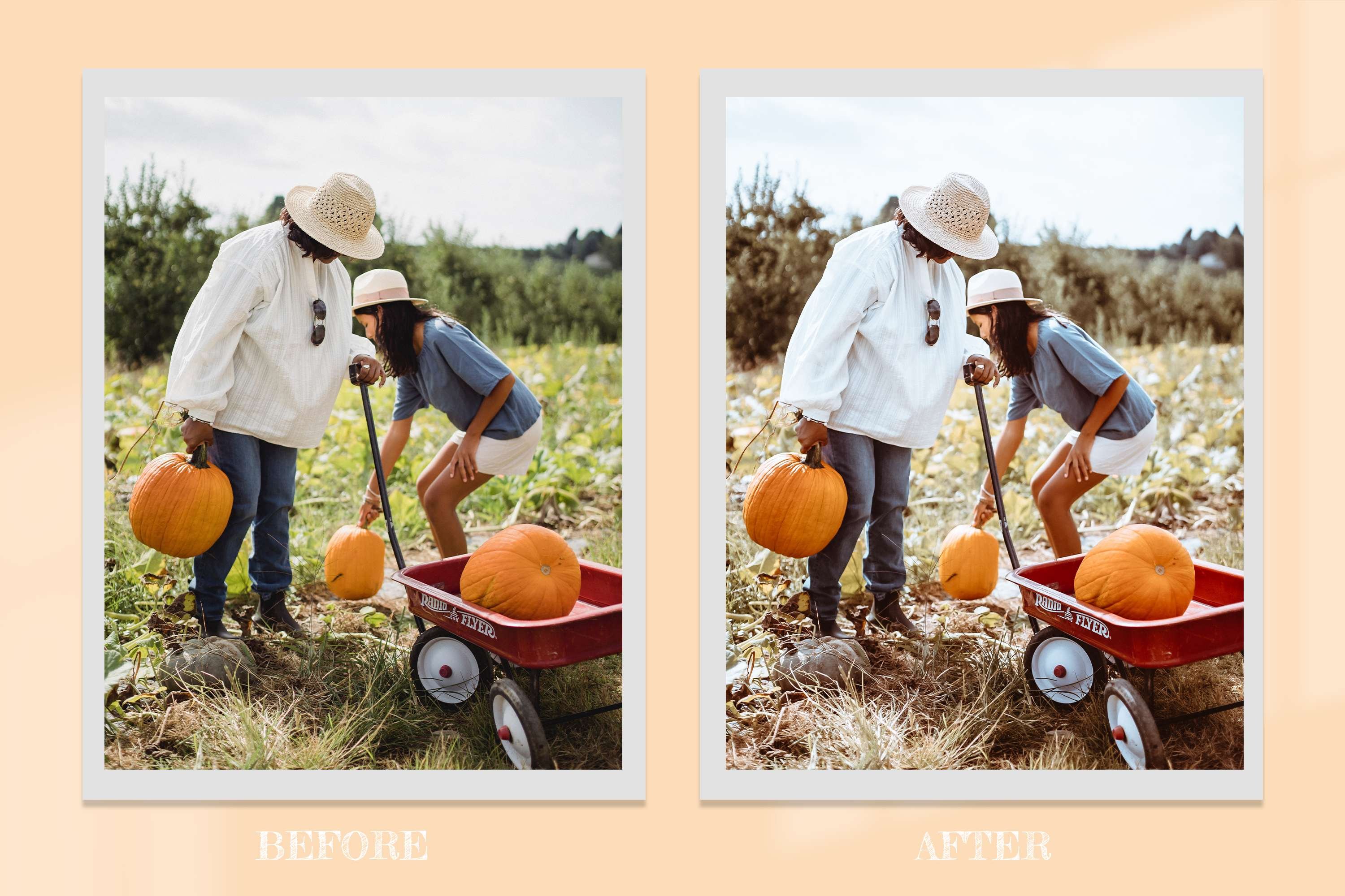 9 Fall Holidays Lightroom Presets 10275393