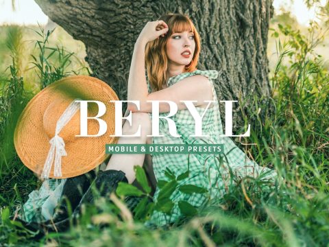 Beryl Pro Lightroom Presets 10243234