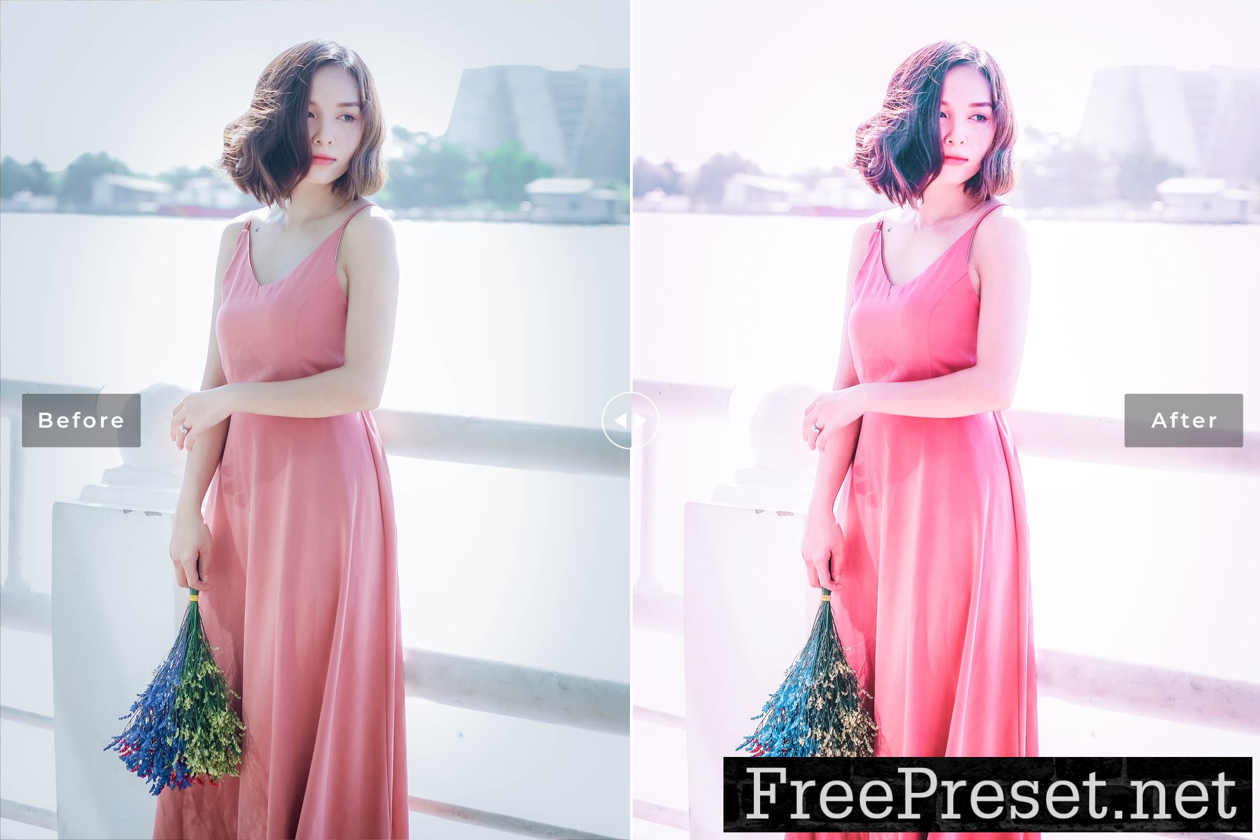 Bixbite Pro Lightroom Presets 10277026