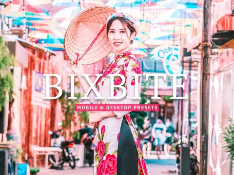 Bixbite Pro Lightroom Presets 10277026