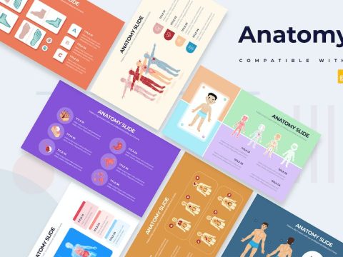 Business Anatomy Slides Google Slides Infographics Y2FBXHL