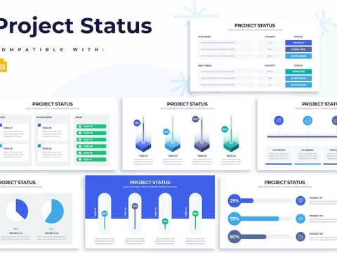 Business Project Status Google Slides Infographics CFVAMFV