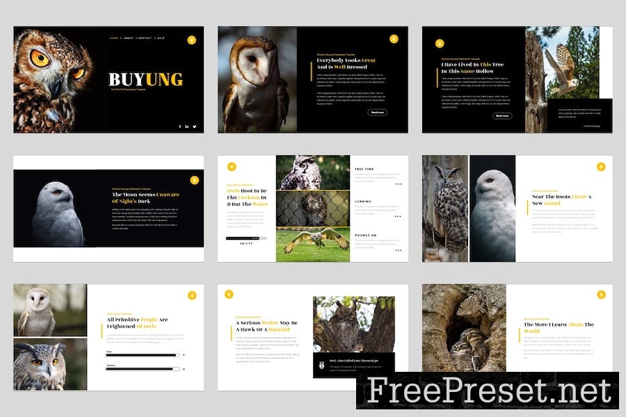 Buyung - Bird Animal Google Slides Template YQTSLUZ