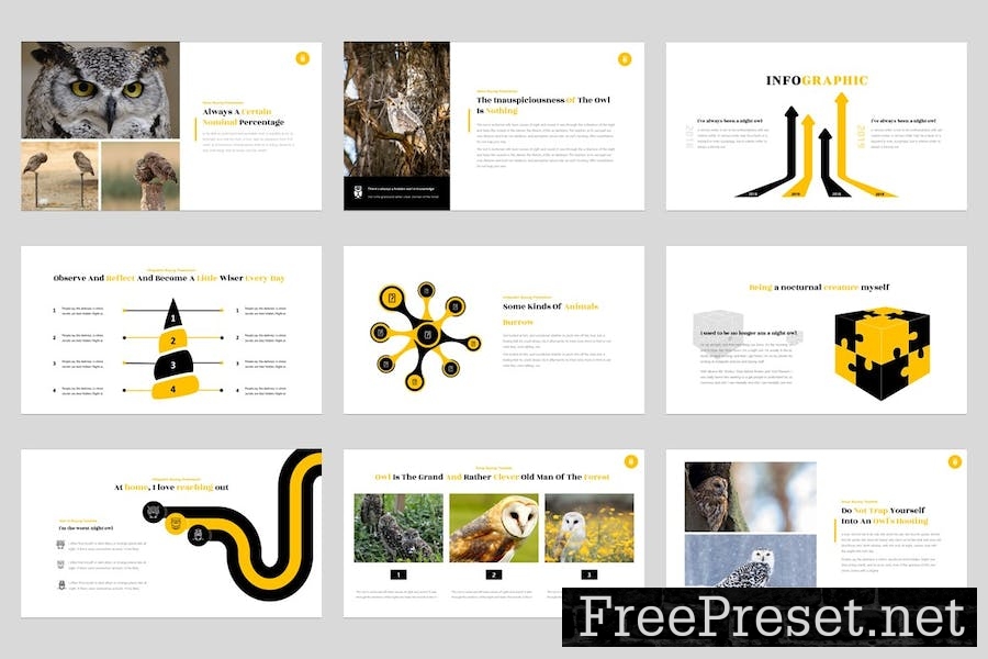 Buyung - Bird Animal Google Slides Template YQTSLUZ