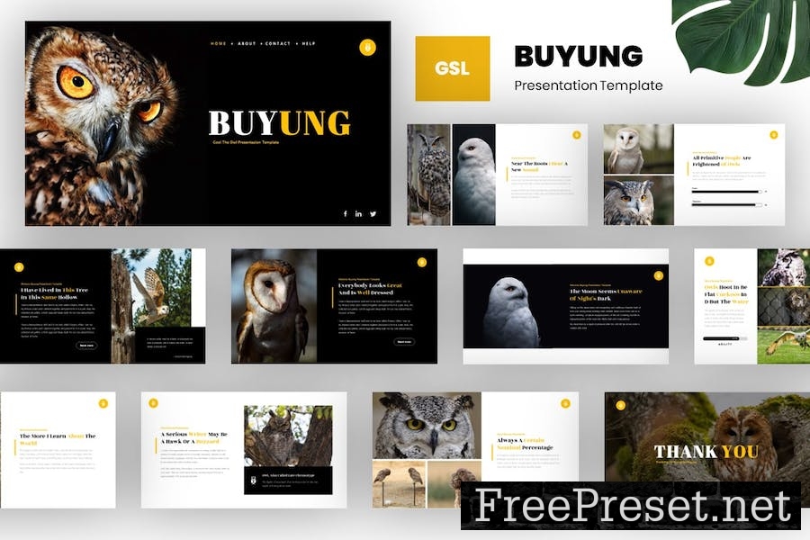 Buyung - Bird Animal Google Slides Template YQTSLUZ