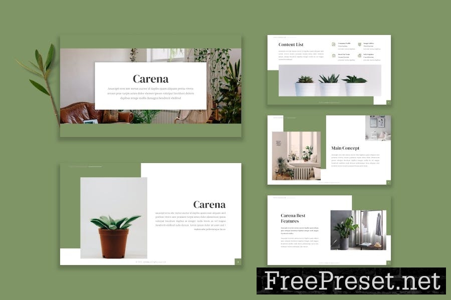 Carena - Google Slide Template 8KR7U73