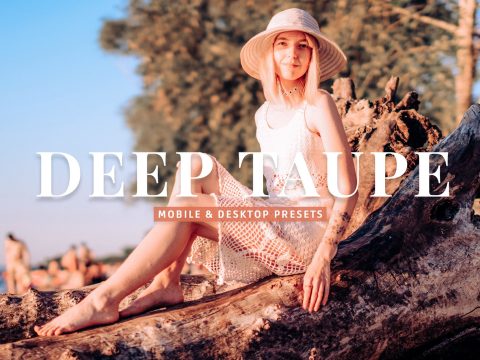 Deep Taupe Pro Lightroom Presets 10243236