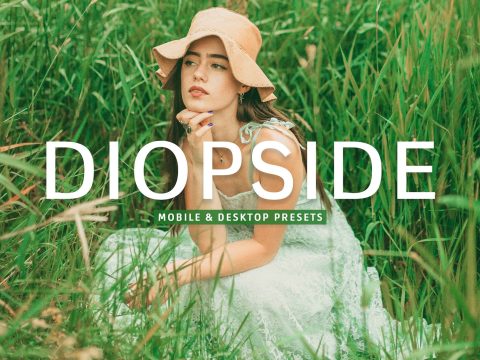 Diopside Pro Lightroom Presets 10243238