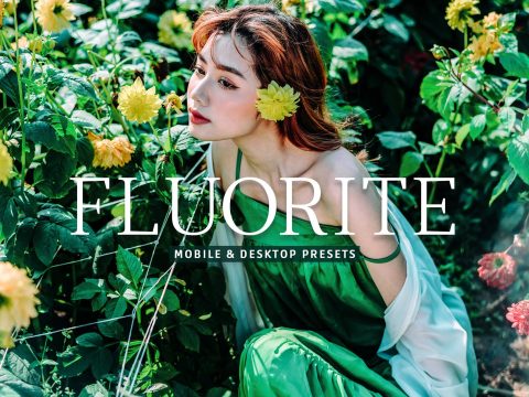 Fluorite Pro Lightroom Presets 10243239